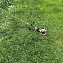 Spalinowa kosa z nausznikami leży na świeżo skoszonej trawie, obok młodego drzewka w ogrodzie.