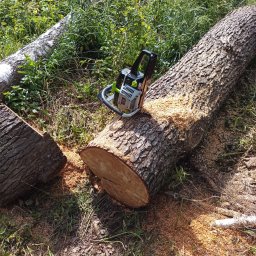 Wycinka drzew Białystok 4