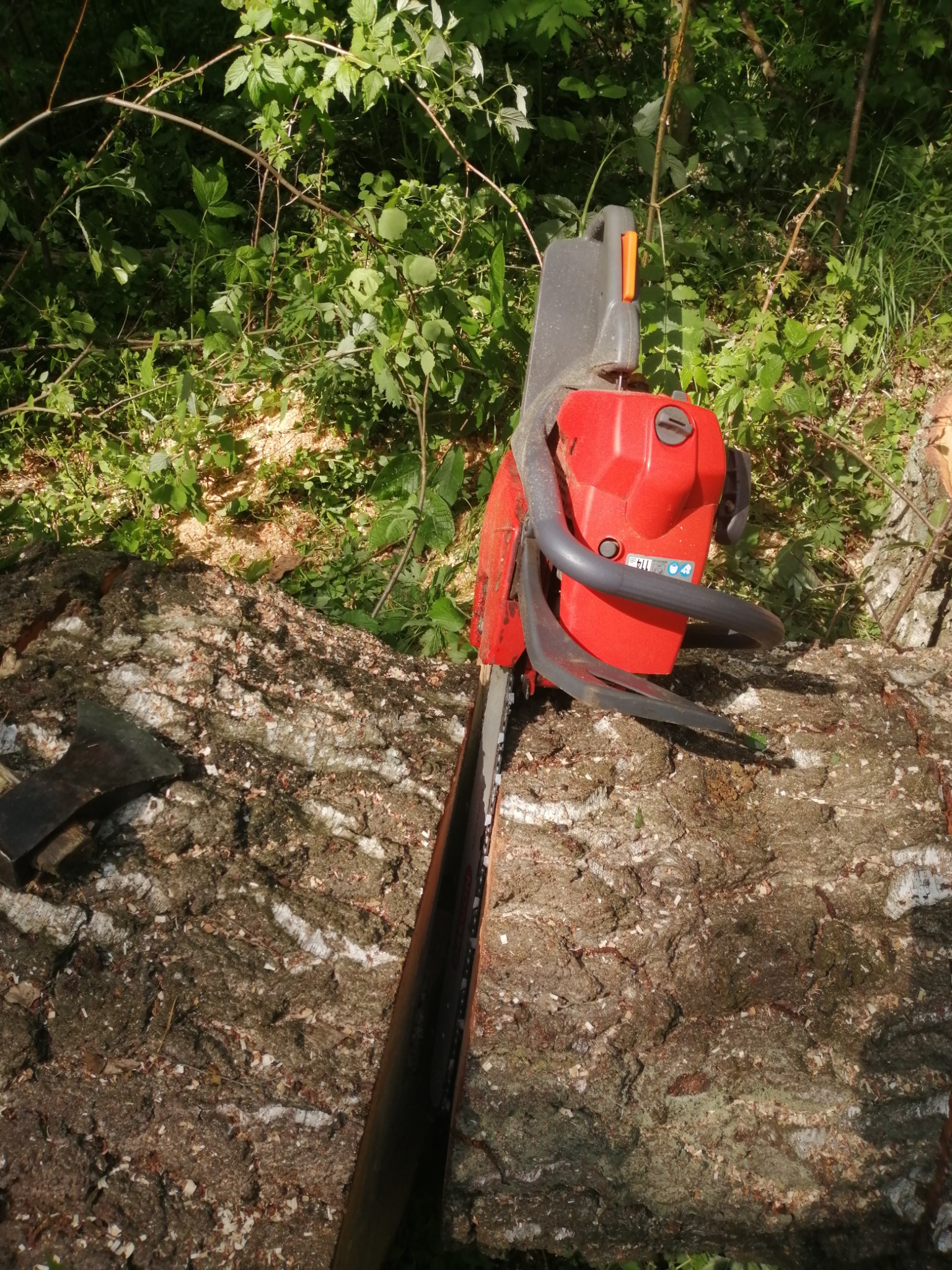 Czerwona piła spalinowa leży na pniu drzewa z widocznymi trocinami, obok leży toporek, a w tle widać zieloną roślinność.