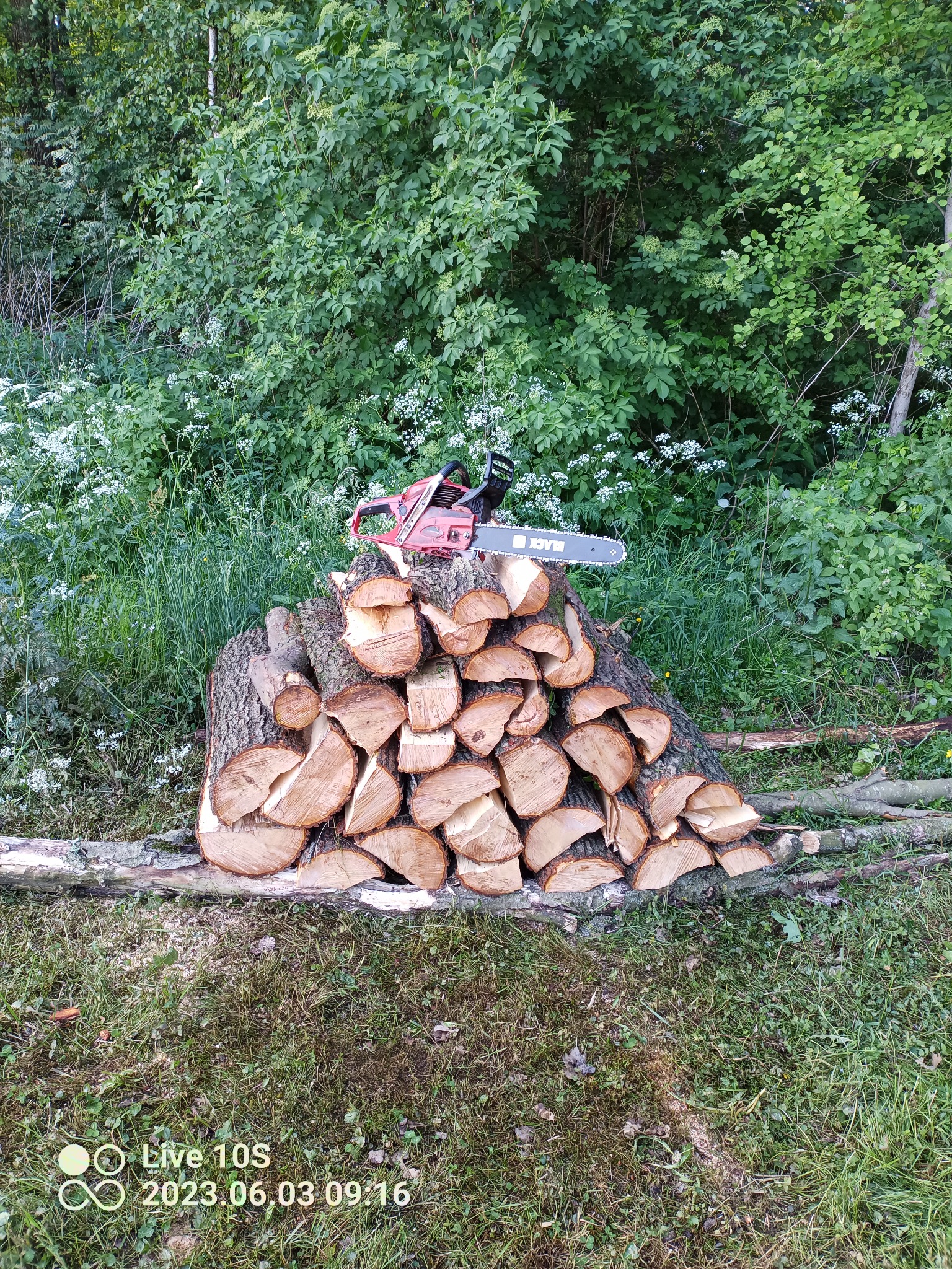 Stos pociętych kawałków drewna ułożonych na trawie, na wierzchu czerwono-czarna piła łańcuchowa, w tle zieleń drzew i krzewów.