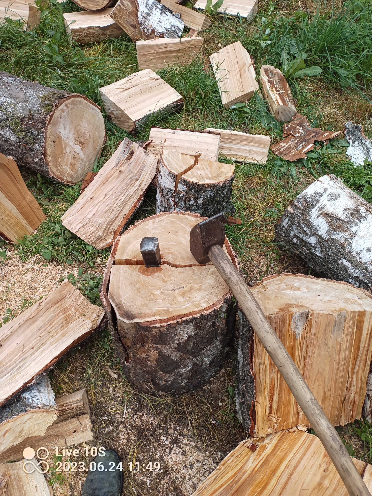 Kłoda z wbitym klinem i leżącą obok siekierą na trawie, w otoczeniu pociętych kawałków drewna.