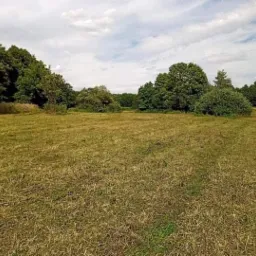 Rozległe pole z częściowo skoszoną trawą, otoczone drzewami liściastymi pod pochmurnym niebem.