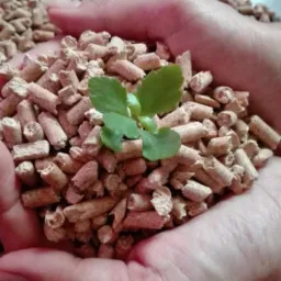 PELLET drzewny Premium