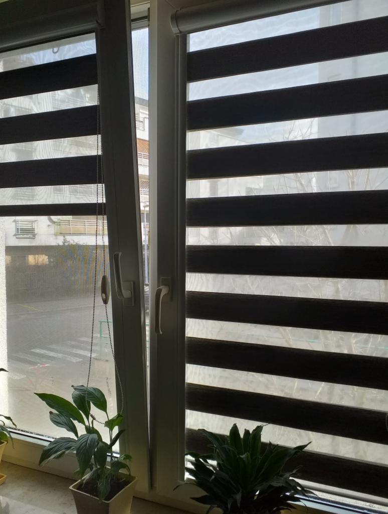 Okno z roletami dzień i noc, widok na ulicę z przejściem dla pieszych, doniczkowe rośliny na parapecie, szary, pochmurny dzień.