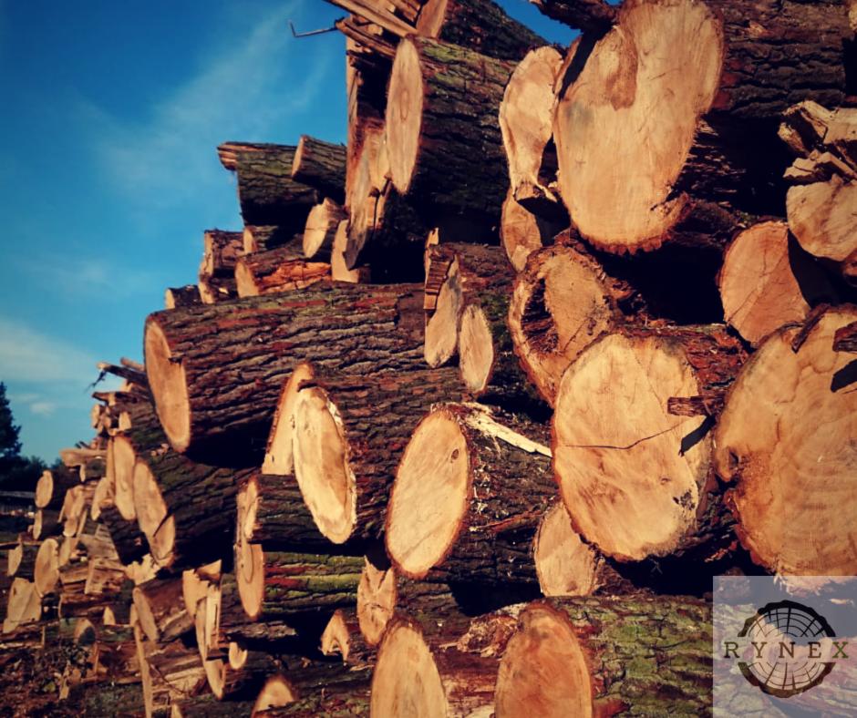 Stos pociętych kloców drewna na tle błękitnego nieba, widoczny znak firmowy w prawym dolnym rogu.