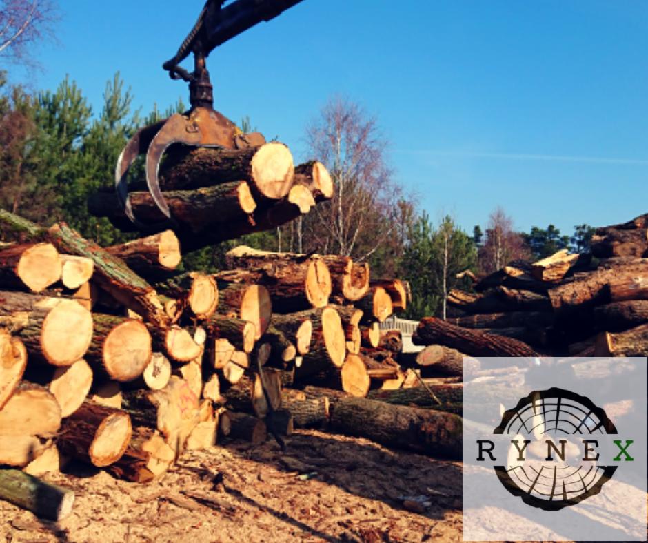 Kłody drewna chwytane przez metalowe ramię maszyny na tle lasu i błękitnego nieba, widoczne logo firmy w prawym dolnym rogu.
