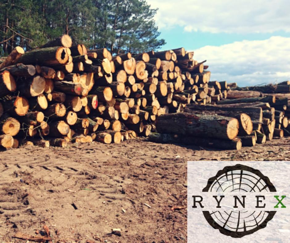 Stos pociętego drewna kominkowego na ziemi z widocznymi śladami opon, w tle las iglasty i błękitne niebo, w prawym dolnym rogu widoczne logo firmy RyNex.