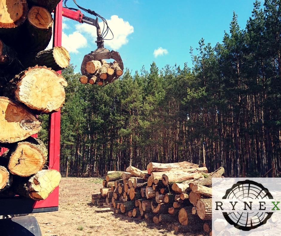 Czerwony dźwig z chwytakiem transportuje pocięte kłody drewna na tle lasu iglastego i błękitnego nieba z chmurami; widoczne ułożone stosy drewna i logo firmy w prawym dolnym rogu.