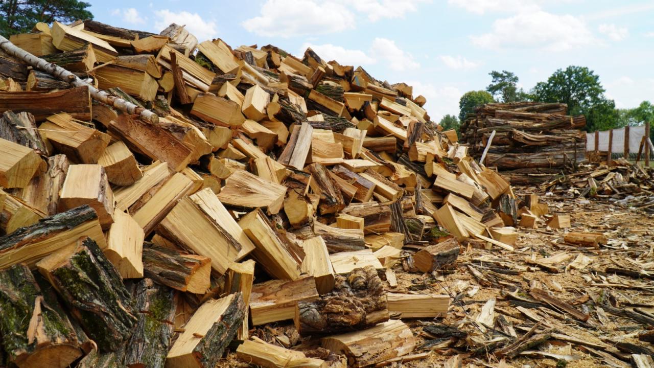 Duża pryzma pociętego drewna z korą i bez, ułożona na zewnątrz, w tle widoczne drzewa i fragment ogrodzenia.