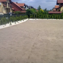 Przygotowany teren pod trawnik z widocznym obramowaniem z białego kamienia i nasadzeniami z małych drzewek iglastych w tle.