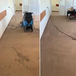 INMAGO Sp. z o.o., Sp. k. - Profesjonalny odkurzacz piorący na brązowym dywanie w biurze w Wodzisławiu Śląskim, widoczne efekty czyszczenia plamy, po lewej stronie dywan przed, po prawej po czyszczeniu.