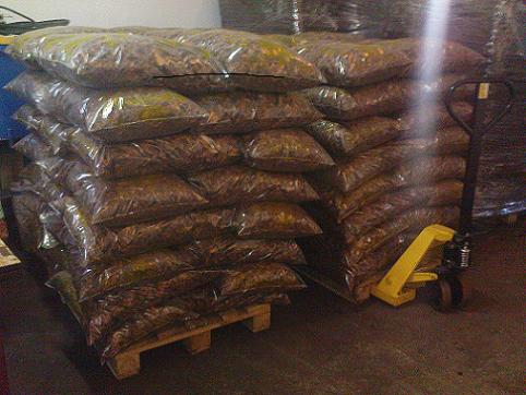 kora sosnwa ośrednia- 50l