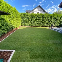 Idealnie równy trawnik z rolki otoczony tujami i obrzeżem z kostki granitowej, widok na dom z białym szczytem.
