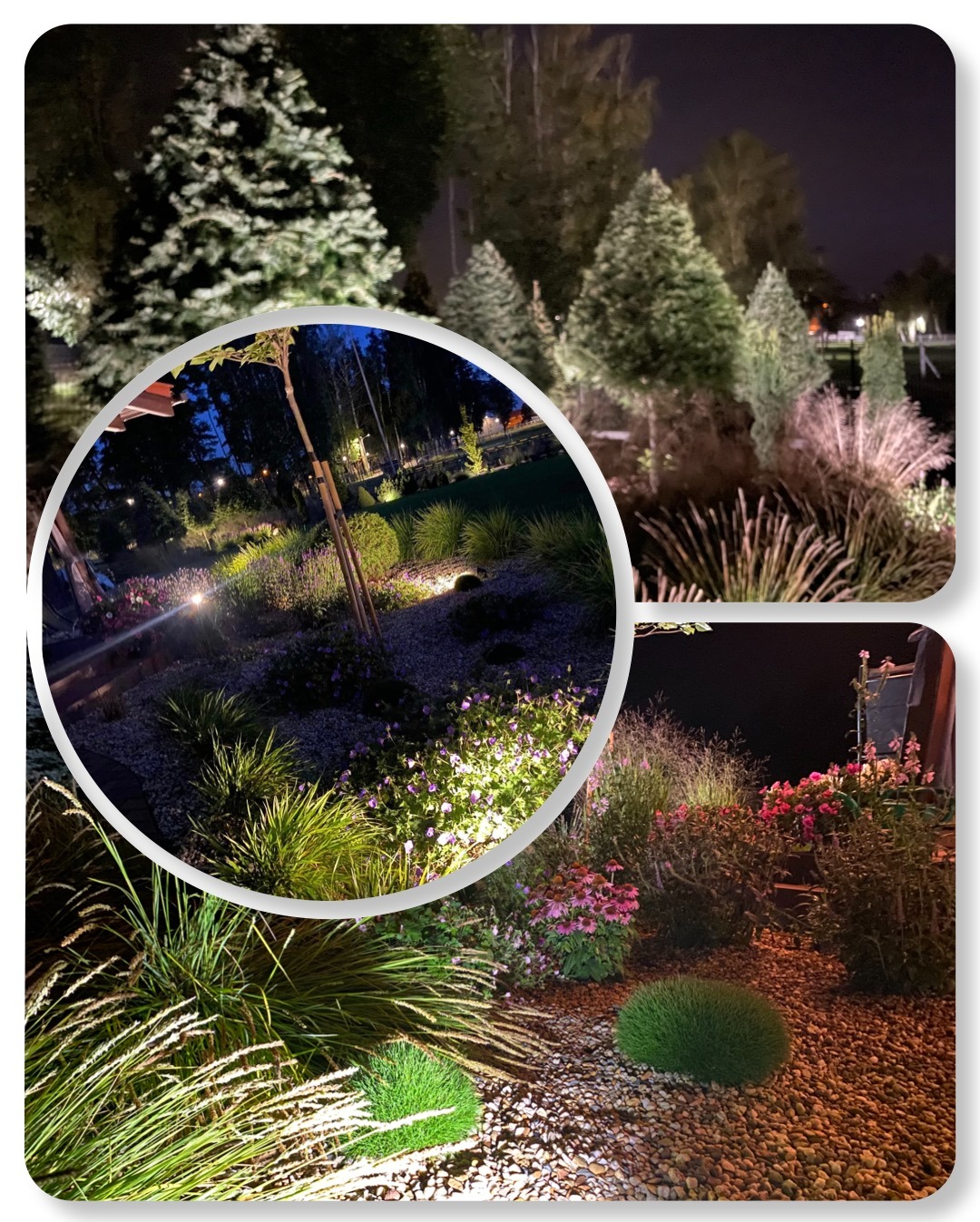 Oświetlony nocą ogród z ozdobnymi trawami, krzewami i kwiatami, z punktowymi lampami podkreślającymi roślinność i żwirowe ścieżki, ujęcie z perspektywy ziemi.