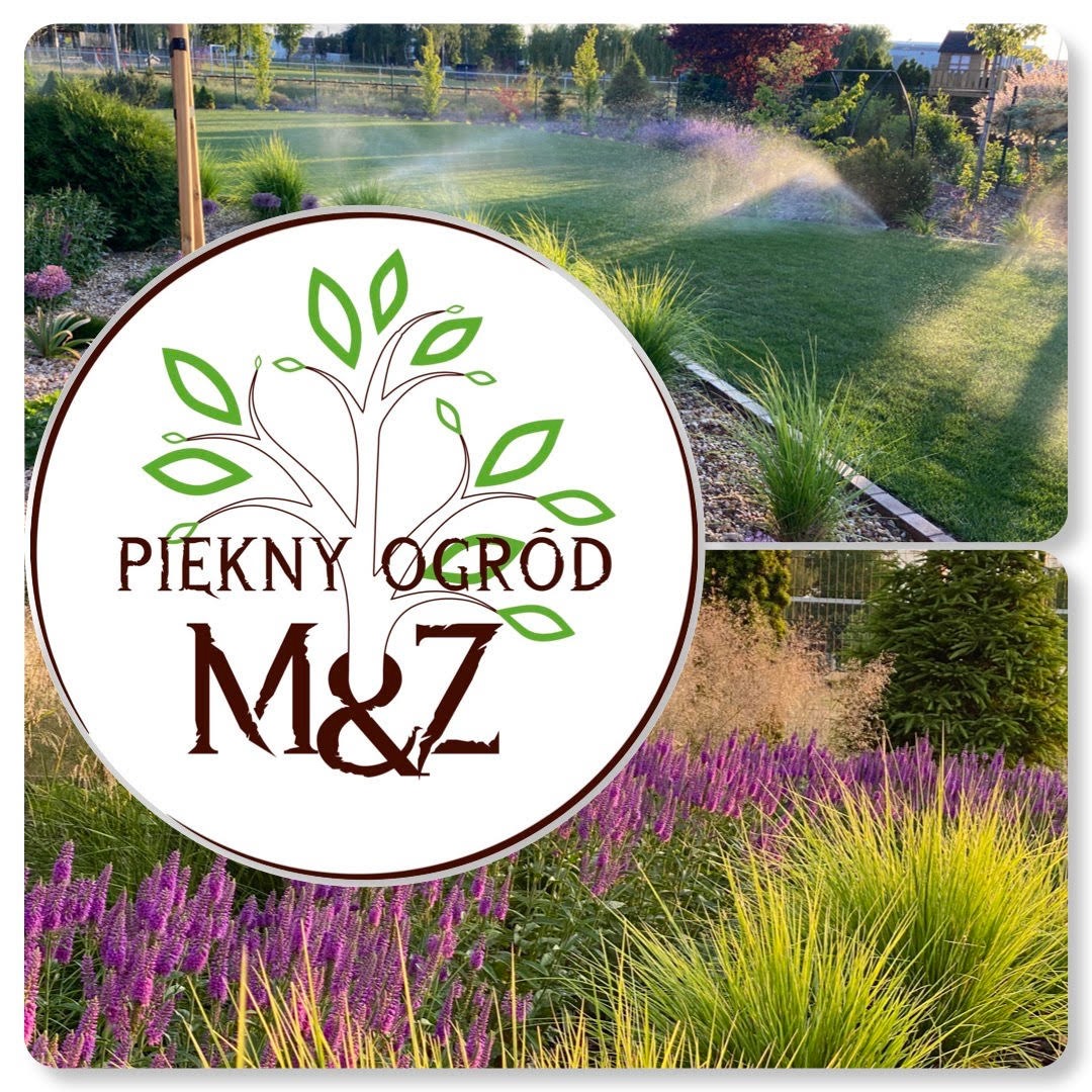 Kompozycja trzech ujęć ogrodu: zraszanie trawnika systemem nawadniania, rabata kwiatowa z fioletowymi i żółtymi roślinami oraz logo firmy 'Piękny Ogród M&Z' z motywem drzewa.