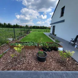 Uporządkowany ogród przydomowy z rabatami warzywnymi w drewnianych skrzyniach, doniczkami z ziołami i równo przystrzyżonym trawnikiem, wyściółkowany korą, na tle nowoczesnego domu z klimatyzatorem.