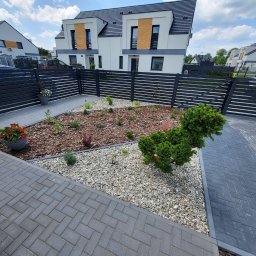 Wycinka drzew Wąsosz 1