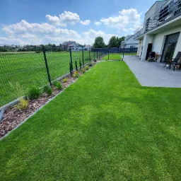 Zadbany trawnik z rolki w Wąsoszu, widok na nowoczesny dom z tarasem i czarnym ogrodzeniem panelowym, rabaty z korą i roślinami ozdobnymi.