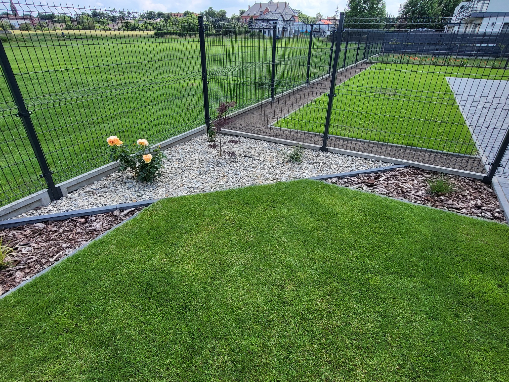 Zadbany trawnik z widoczną granicą z kory i kamieni ozdobnych, ogrodzony nowoczesnym metalowym płotem panelowym. W tle widoczny dom i zieleń.