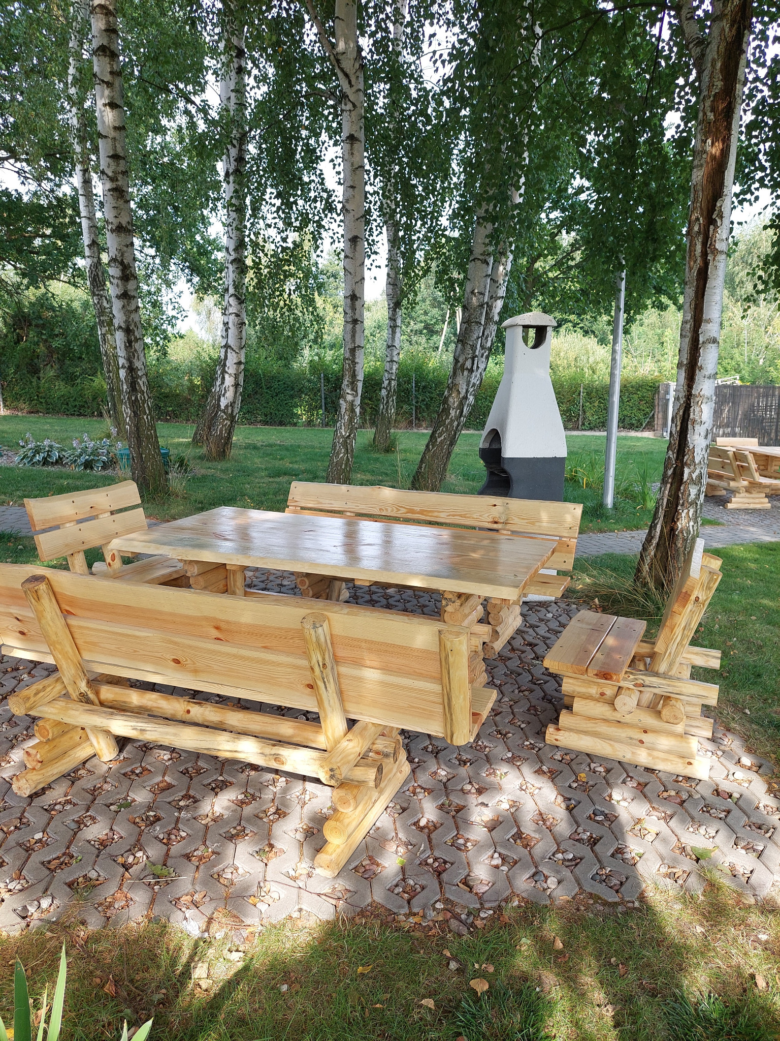 Drewniany zestaw mebli ogrodowych (stół i ławki) wykonany z surowego drewna, ustawiony na kostce brukowej pod brzozami w ogrodzie, z grillem w tle.