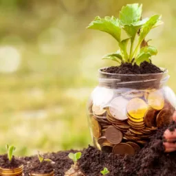 Słoik wypełniony monetami, z którego wyrasta roślina; przed nim ułożone stosy monet z kiełkującymi roślinami na ciemnej ziemi, symbolizujące wzrost finansowy na rozmytym, zielonym tle.