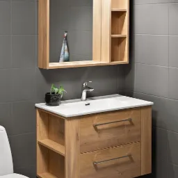 Drewniana szafka łazienkowa z umywalką i lustrem z półkami, chromowana bateria, szare płytki w tle, toaleta po lewej stronie.