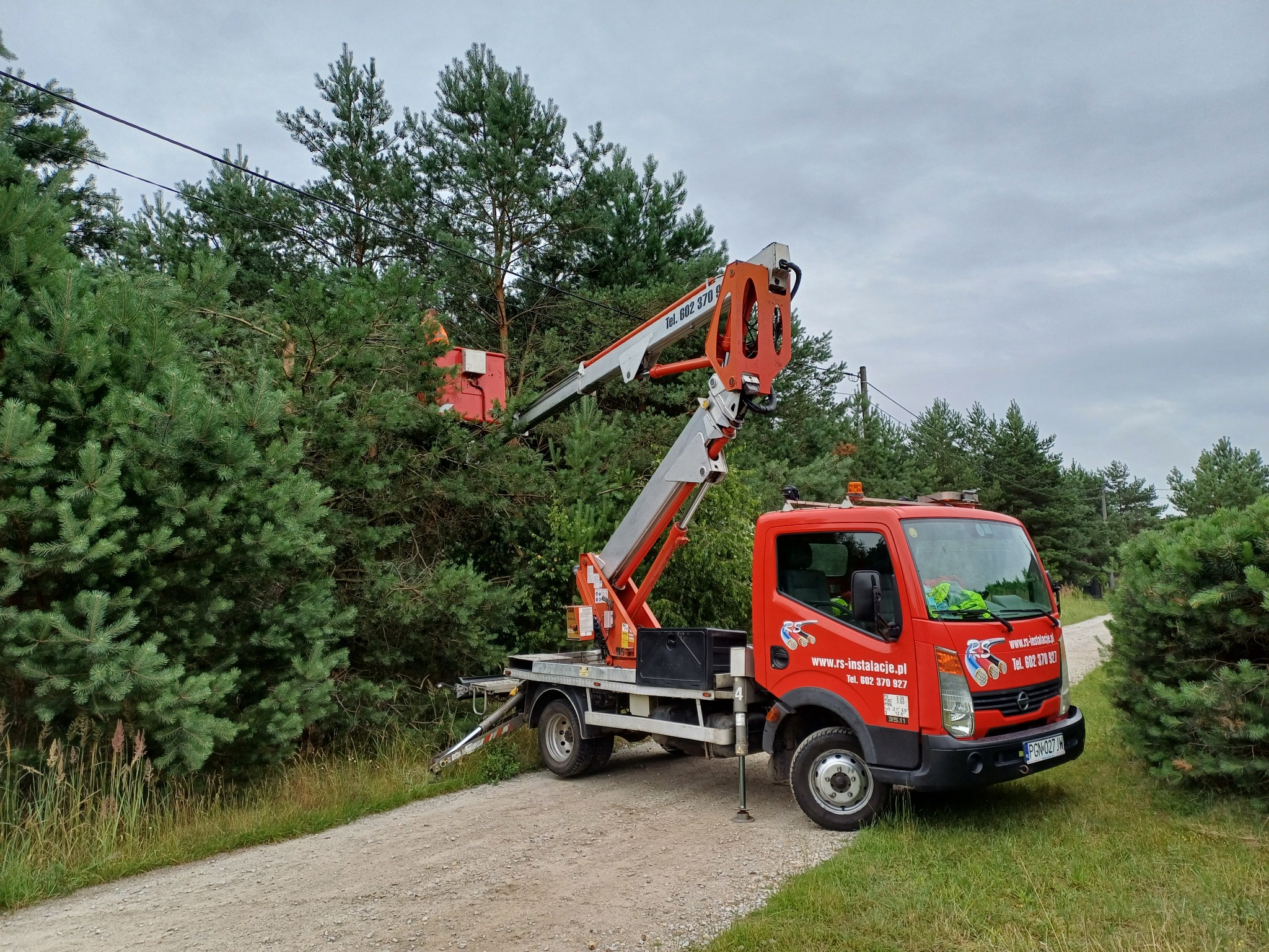 Czerwony podnośnik koszowy na drodze gruntowej podczas przycinania wysokich drzew iglastych, widoczne linie energetyczne w tle.
