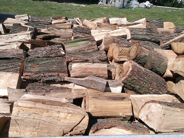 Stos pociętego drewna kominkowego z wyraźną korą i śladami mchu, ułożony na trawie w słoneczny dzień.