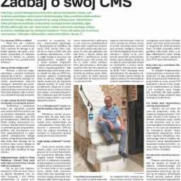 Artykuł prasowy o bezpieczeństwie systemów CMS, z widocznym zdjęciem mężczyzny siedzącego na schodach.