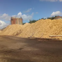 Duży pryzmat jasnych zrębek drzewnych na placu składowym, z widocznymi śladami opon i drewnianymi belkami podtrzymującymi; w tle silosy i błękitne niebo z chmurami.