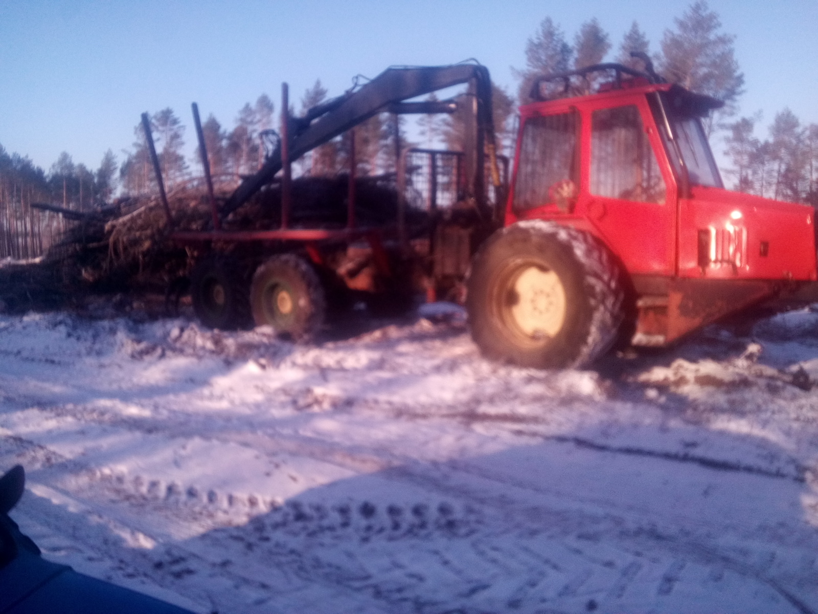 Czerwony forwarder z kłądkami drewna na zaśnieżonym terenie leśnym, widoczne ślady opon na śniegu, oświetlenie słoneczne.