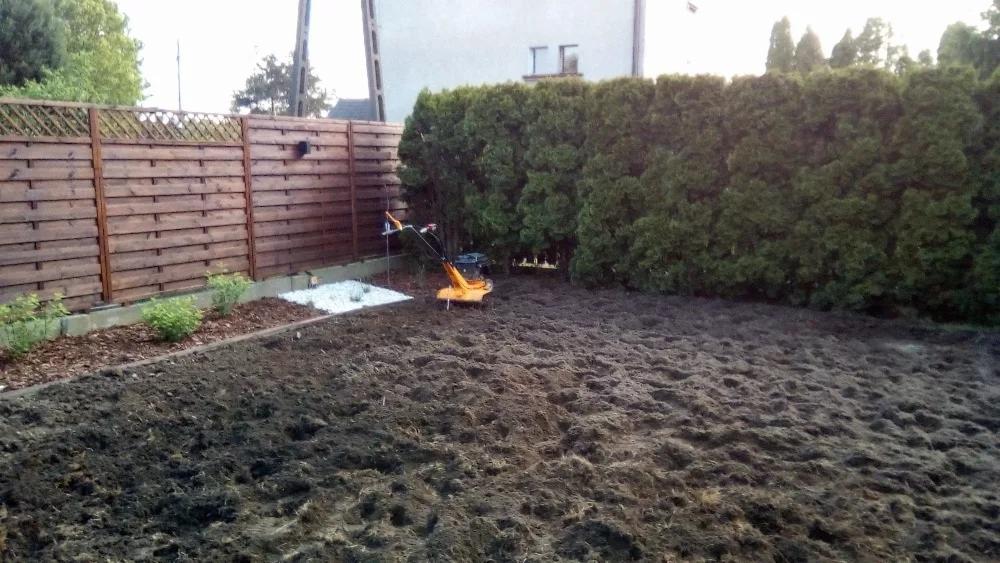 Żółty glebogryzarek spalinowy stoi na świeżo przekopanej ziemi w ogrodzie, widoczny drewniany płot i wysokie tuje.