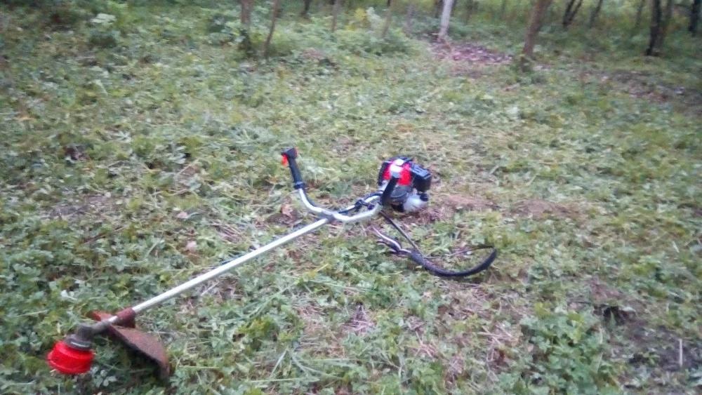 Spalinowa kosa do trawy leży na trawniku z resztkami skoszonej trawy, widoczne drzewa w tle.