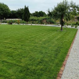 Usługi ogrodnicze Renata i Przemek Fabianowscy - Perfekcyjnie skoszony trawnik z widocznymi pasami, obrzeżem z cegieł i żwirową ścieżką, drzewo z podłożem wysypanym kamieniami, w tle roślinność i elementy architektury ogrodowej.