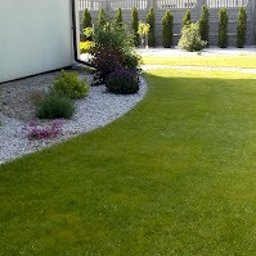Usługi ogrodnicze Renata i Przemek Fabianowscy - Odpowiedni Producent Trawy z Rolki Leszno