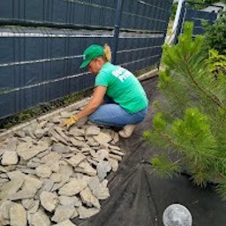 Usługi ogrodnicze Renata i Przemek Fabianowscy - Kobieta w zielonej koszulce i czapce układa kamienie na czarnej macie wzdłuż ogrodzenia. Obok roślina iglasta i szara kula dekoracyjna, etap prac ogrodowych.