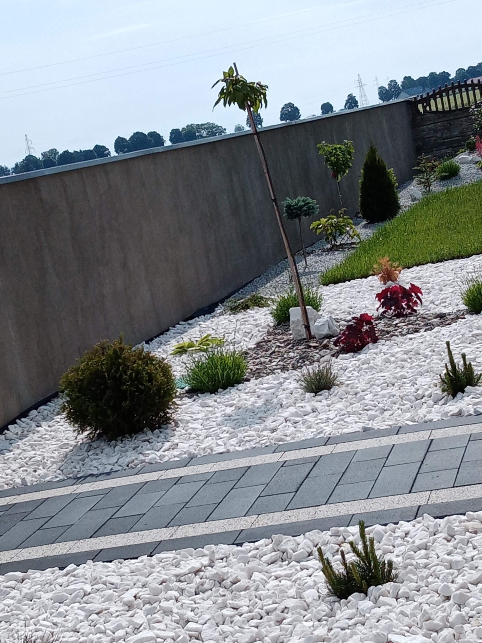 Nowoczesny ogród z białymi kamieniami, szarą kostką brukową, różnorodnymi roślinami ozdobnymi i drzewami na tle betonowego muru i krajobrazu.