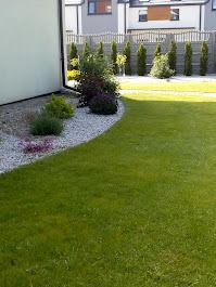 Ogród po realizacji: trawnik, rabata z białym kamieniem, krzewy i tuje wzdłuż ogrodzenia. Widok z boku, w słoneczny dzień. Realizacja zakładania ogrodu.