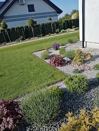 Starannie zaprojektowany ogród przydomowy z równo przystrzyżonym trawnikiem, rabatami z kamieni i różnorodną roślinnością ozdobną, w tle dom jednorodzinny.