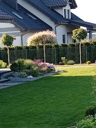 Zadbany ogród przydomowy z równo przystrzyżonym trawnikiem, ozdobnymi krzewami i drzewami. W tle nowoczesny dom z ciemną dachówką i ogrodzenie z siatki.