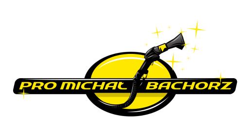 PRO Michał Bachorz - Mycie okien Wolsztyn