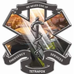 Stylizowane logo firmy TetraFox Emergency Services z symbolem Eskulapa na tle miejskiego krajobrazu i hasłem 'We Never Give Up'.