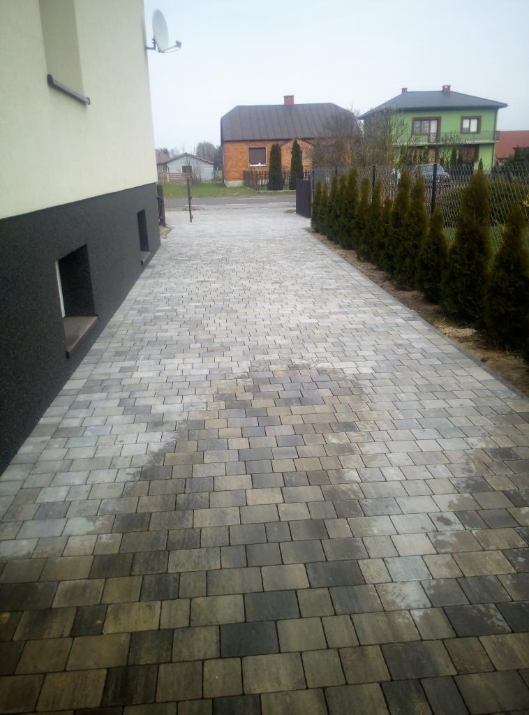 Ułożona kostka brukowa w Radzyniu Podlaskim tworząca długi podjazd do domu. Widoczne są dwa budynki w tle i rząd tuj wzdłuż ścieżki.