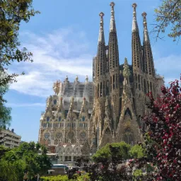 Sagrada Familia w Barcelonie, częściowo zasłonięta rusztowaniami, widziana z dołu przez korony drzew i krzewów o czerwonych liściach.