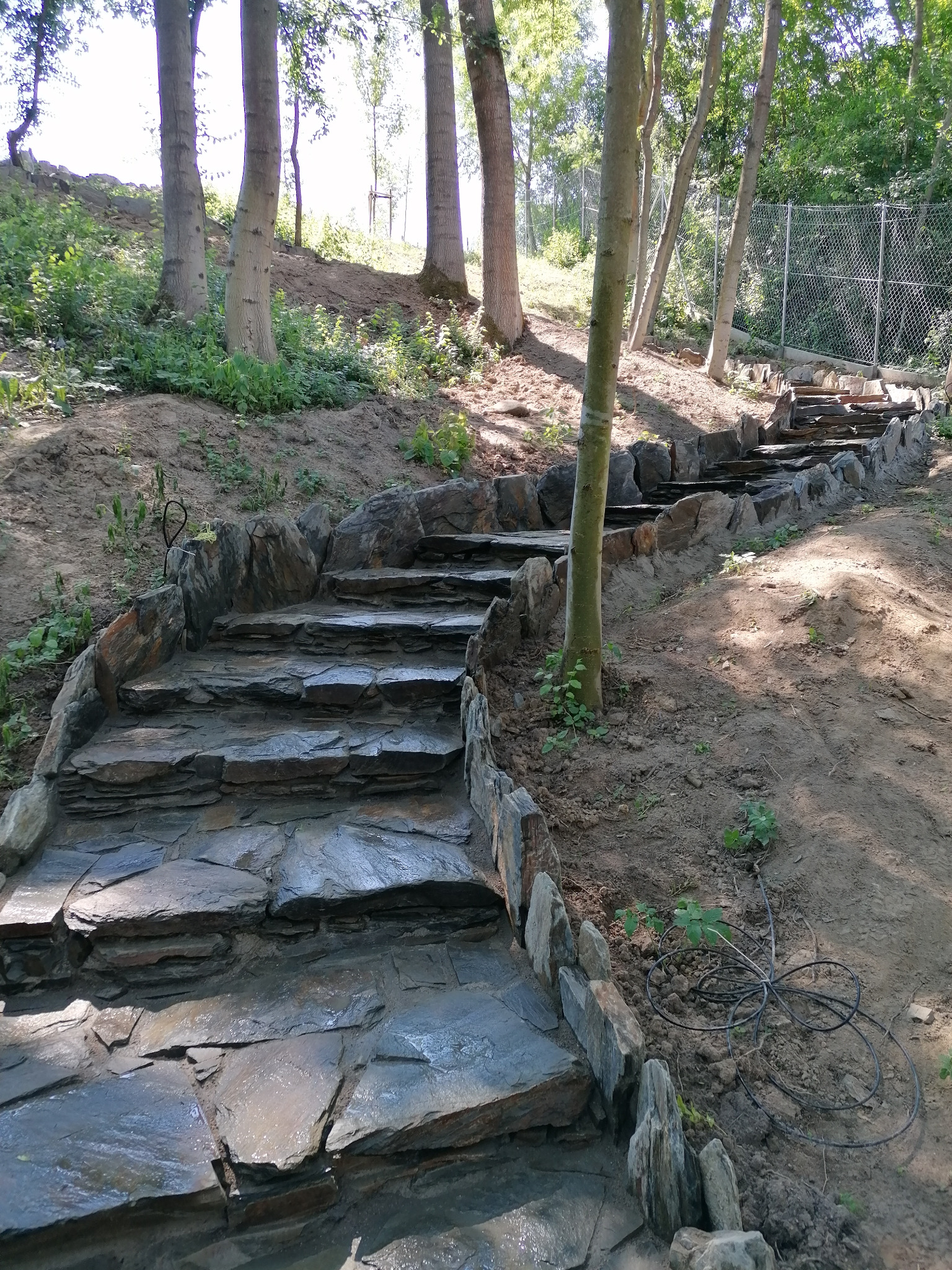 Kamienne schody ogrodowe na zboczu, z drzewami rosnącymi wzdłuż trasy, prowadzące w górę w kierunku siatki ogrodzeniowej.