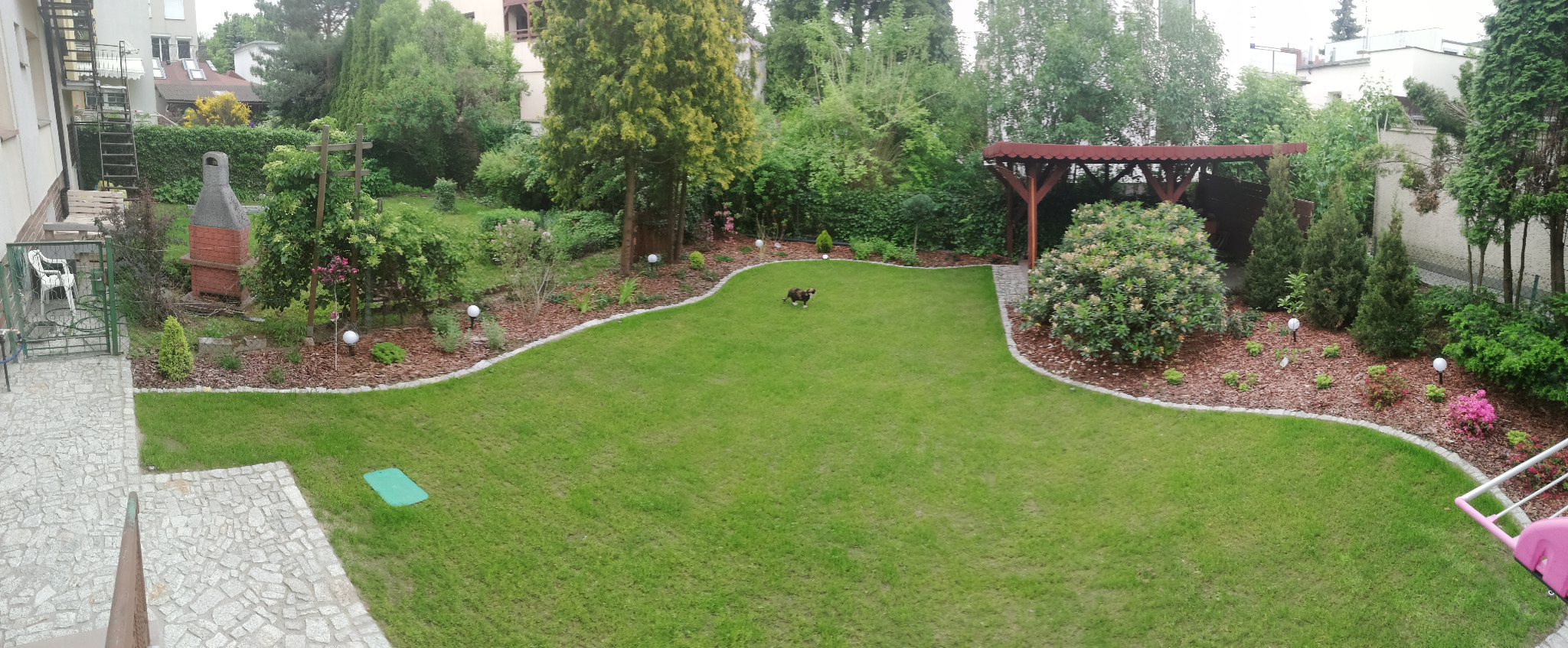 Widok z góry na zadbany trawnik z obrzeżami z kory i kamienia, mały pies na trawie, w tle pergola i różnorodne rośliny ozdobne.