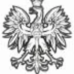 Czarno-biały rysunek orła w koronie, godło Polski, stylizowany na szkic.