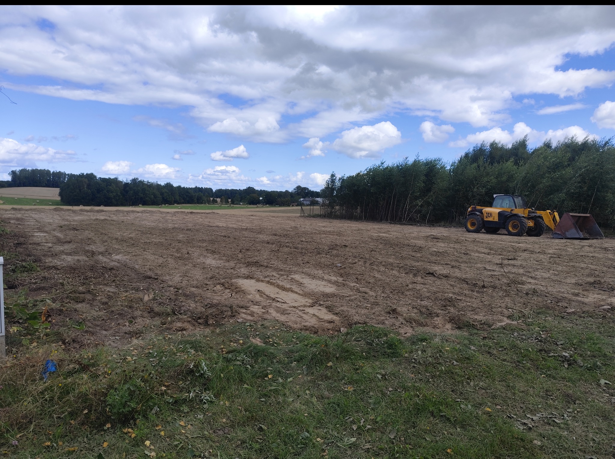 Żółta ładowarka JCB na polu po wycince drzew, widoczne ślady opon i pozostałości po drzewach, w tle las i błękitne niebo z chmurami.