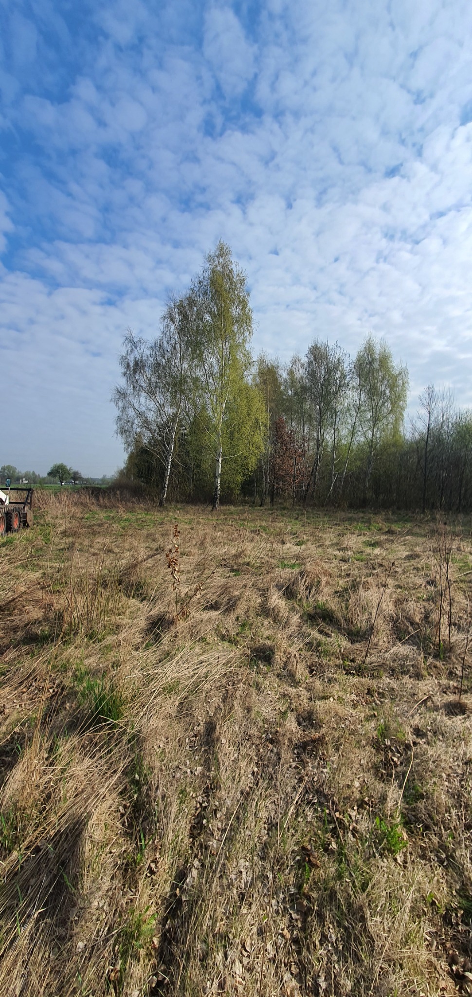 Krajobraz w Antoniowie z młodymi brzozami na skraju łąki, fragment traktora po lewej stronie kadru, błękitne niebo z obłokami w tle.