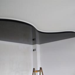 Malowanie Mniszków 2